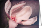 Pink Magnolia card