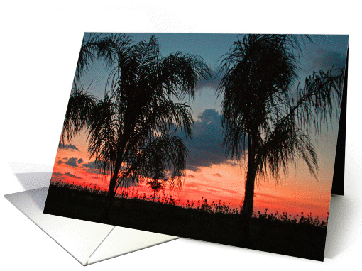 Sunset with Palms card (214465)