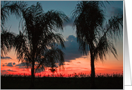 Sunset with Palms card