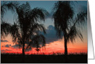 Sunset with Palms card
