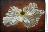 Poppy card