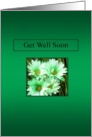 Get Well Soon - Flowers card