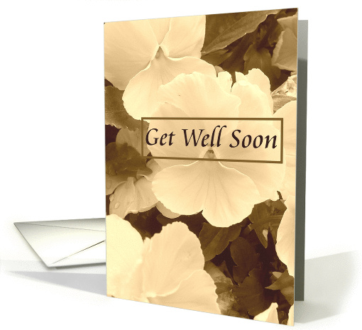 Get Well Soon - Flowers - With Words card (248727)