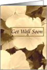Get Well Soon - Flowers - With Words card