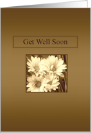 Get Well Soon - Flowers - With Words card