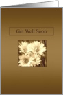 Get Well Soon - Flowers - With Words card