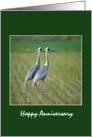 Happy Anniversary - Two Birds card