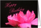Happy Birthday Flower- Blank Inside card