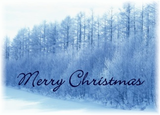 Merry Christmas -...