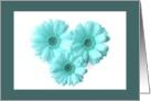Thank You - For Caregiver, blue daisies card