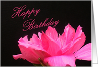 Happy Birthday - For God Daughter card