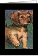 Long Hair Dachshund Pup card