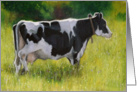 Holstein Cow in Sunny Pasture: Blank Inside: Oil Pastel Painting, Farm card