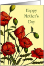 Happy Mother’s Day: General: Red Poppies on Yellow: Art card
