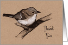Thank You: Little Fluffy Bird, Charcoal Drawing: General Thanks card