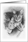 Any Occasion Bengal Cats Pencil Drawing Cute Animals, Blank Inside card