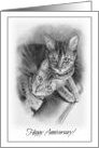 Happy Anniversary: Two Bengal Cats: Pencil Drawing: Purr-fect Couple card