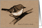 Just A Note ... Little Fluffy Bird; Charcoal Drawing: Blank Inside card