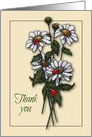 Thank You, General Thanks with Daisies and Ladybugs, Illustration card