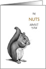 Nuts About You! Squirrel, Pencil Drawing: Love, Romance, Affection card