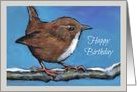 Happy Birthday, General Birthday: Little Wren Bird Painting, Wildlife card
