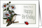 General Birthday, Ladybugs, Hummingbird, Daisies: Original Art card