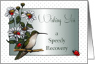 Speedy Recovery: Ladybugs, Hummingbird, Daisies: Original Art card