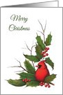 Merry Christmas, Holly Leaves, Berries, Bird: Cardinal: Original Art card