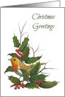 Christmas Greetings: English Robin, Holly Leaves and Berries, Art card