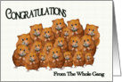 Congratulations From the Whole Gang, Crowd of Cute Hamsters, Daisies card