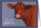 Moving Announcement: Red Cow in Oil Pastel, Mooo-ving, Humor card