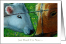 Just Heard The News, General Congratulations, Two Cows, Oil Pastel Art card