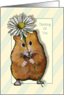 Thinking of You, Cute Hamster with Big Daisy, Stripes card