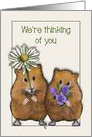We’re Thinking Of You, Hamster Couple With Flowers, General card