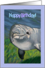 Happy Birthday to Boy: Dolphin Illustration: To A Really Cool Dude card