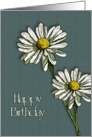 Happy Birthday, General: Illustration of Two Daisies, Flowers card