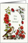 Invitation, General, Nature Art, Bird, Flowers, Ladybugs card