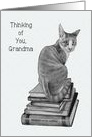 Coronavirus Isolation, Grandma, Cat on Books, Pencil Drawing, Humor card