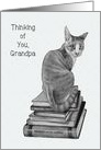 Coronavirus Isolation,Thinking of You, Grandpa, Cat, Books, Pencil Art card