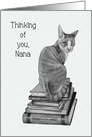 Coronavirus, Isolation, Thinking of You, Nana, Cat, Books, Pencil Art card