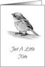 Just A Note, Hello, Blank Inside, Little Bird Pencil Wildlife Art card