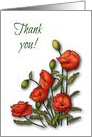 Thank You, General Thanks, Bright Red Poppies on White Background card