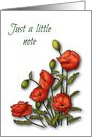 Just A Little Note, Bright Red Poppies, White Background, Blank Inside card