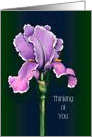 Coronavirus, Thinking of You, Social Isolation, Purple Iris Flower Art card