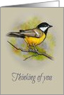 Coronavirus, Thinking of You, Bird on Branch Art Painting Wildlife card