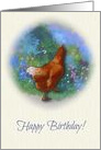 Happy Birthday, Getting Older, Still A Spring Chicken, Humor card