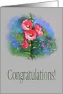 General Accomplishment Congratulations Pink Hollyhocks Floral Painting card