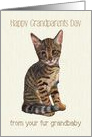 Happy Grandparents Day From Fur Grandbaby Kitten, Cat Illustration card