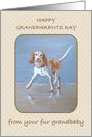Happy Grandparents Day From Fur Grandbaby Dog, Happy Doggie card
