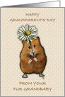 Happy Grandparents Day From Fur Grandbaby Hamster With Daisy card